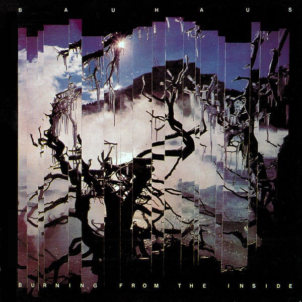 hide/MISERY | RECORD SHOP CONQUEST/レコードショップコンクエスト