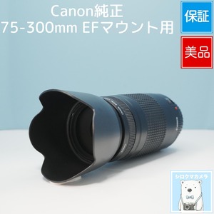 Canon純正 75-300mm EFマウント用 望遠レンズ 美品 シロクマカメラ a7406