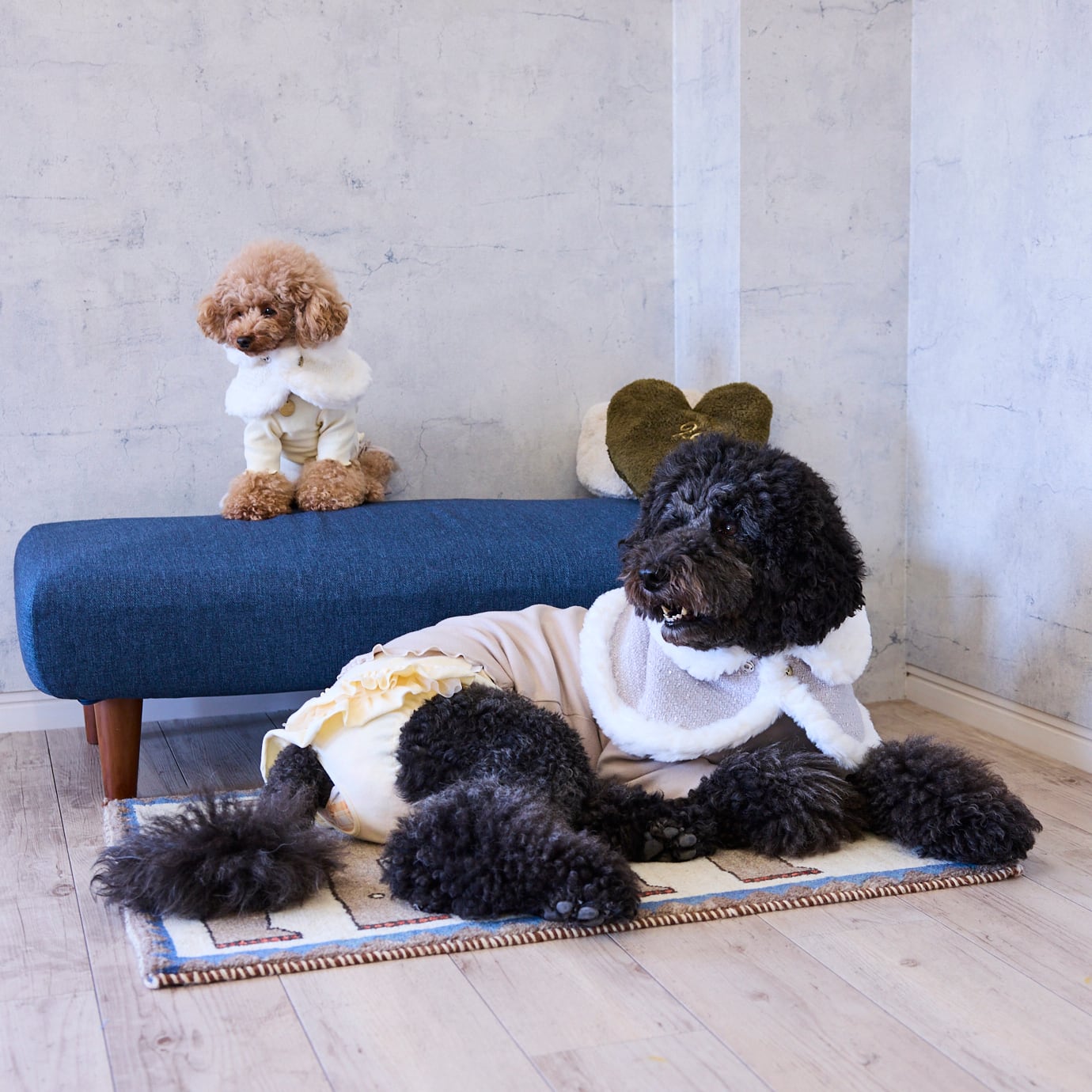 252514］ケープ | 犬服ブランド 2e deuxieme cale | おしゃれなドッグ