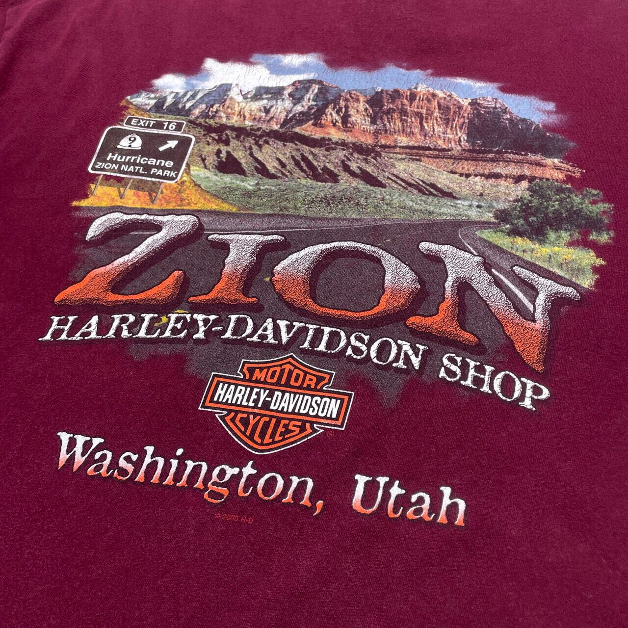 USA製 Harley-Davidson ハーレーダビッドソン プリントTシャツ メンズ 