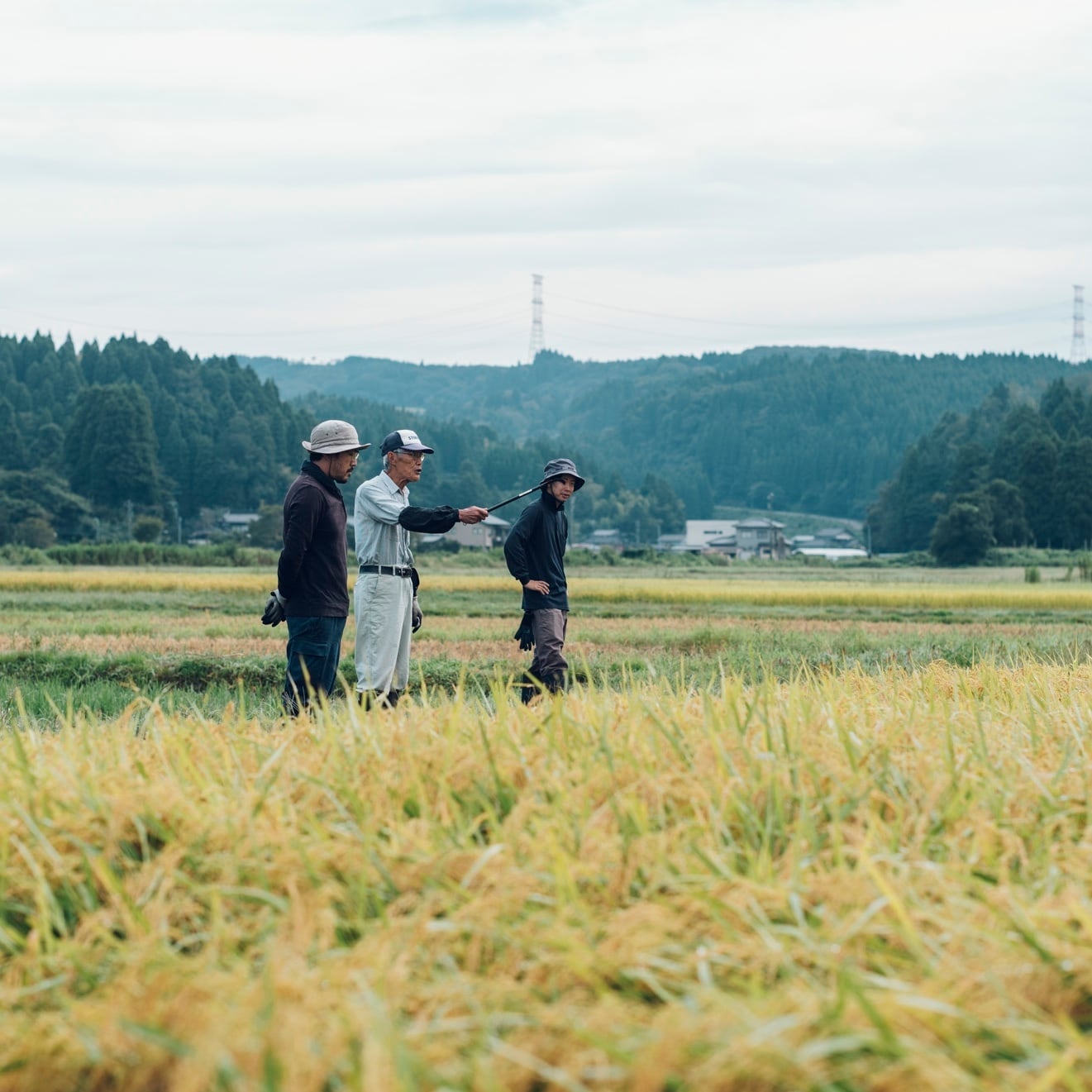 令和7年産 ひゃくまん穀 10kg | Kasanogou online shop