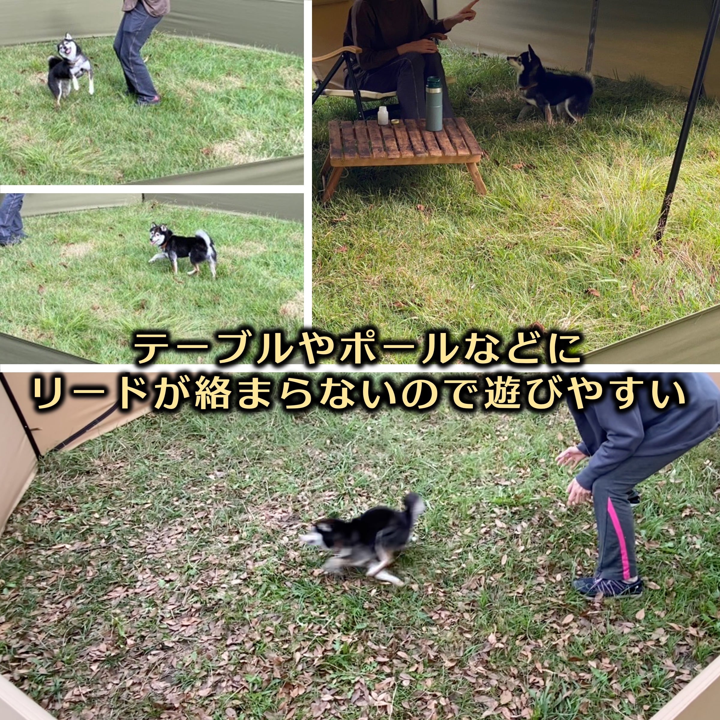 生産終了】ワン・フィールド（ドッグ・フェンス） | 熱田野営具店