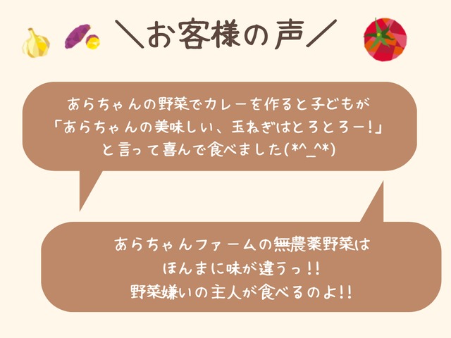 【定期便：隔週】旬の野菜セットM