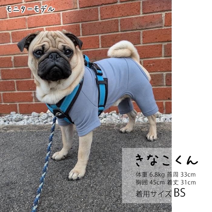 KM851OPフレブル パグ 服 吸湿 発熱 抗菌 防臭 ロンパース Tシャツ