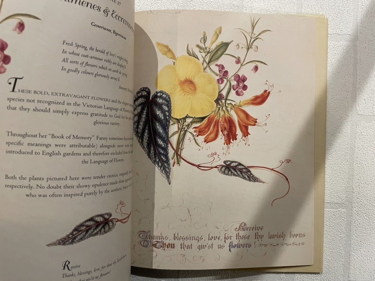 VW083】Country Flowers Of A Victorian Lady /visual book | KITAZAWA