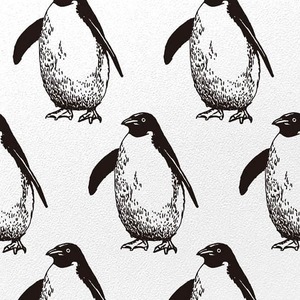 あざやかシール壁紙 PENGUIN - 000006