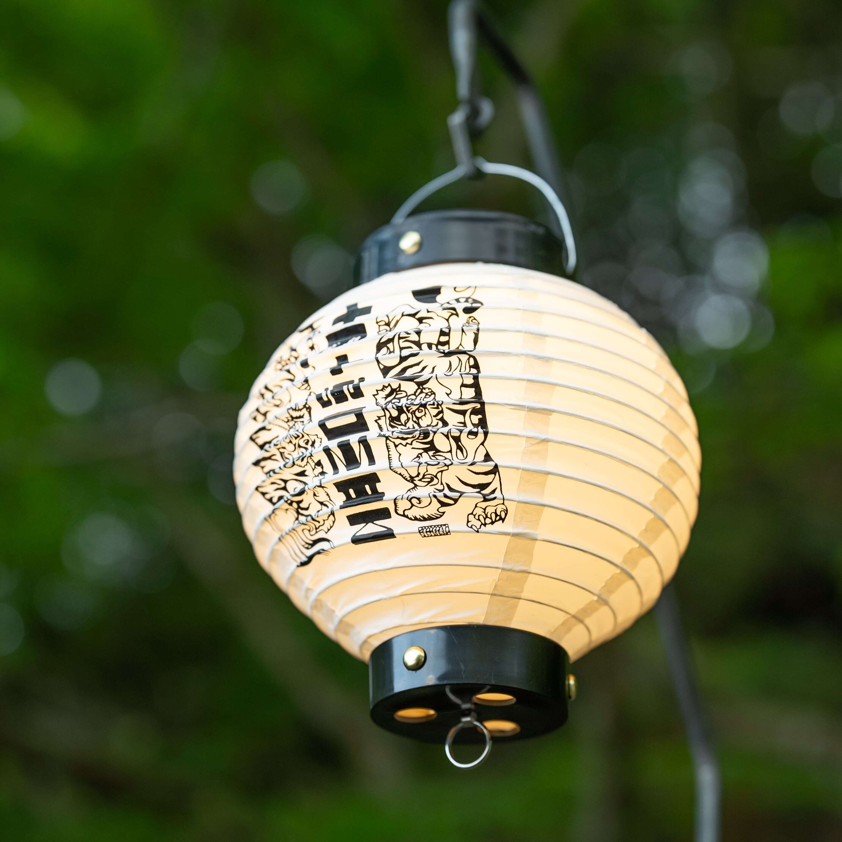 ランタン 提灯 TETSUZAN 提灯【阿吽の虎】【鯉】 | efim