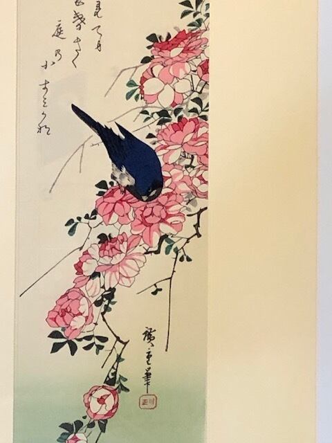 a492aaa96a50856c5184143c1f0d15