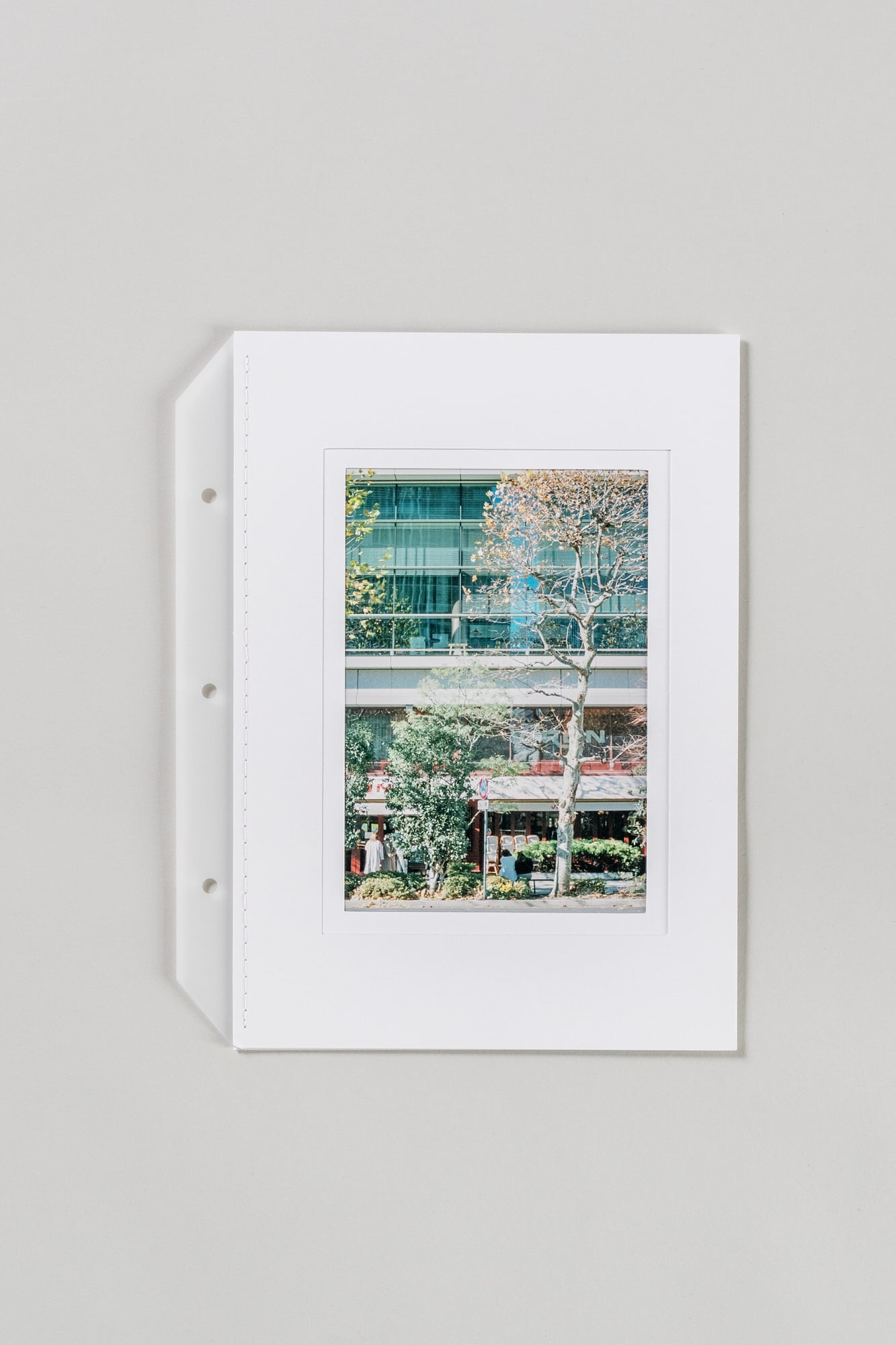 2Lフォトリフィル [hibiobo] | 151画 online store