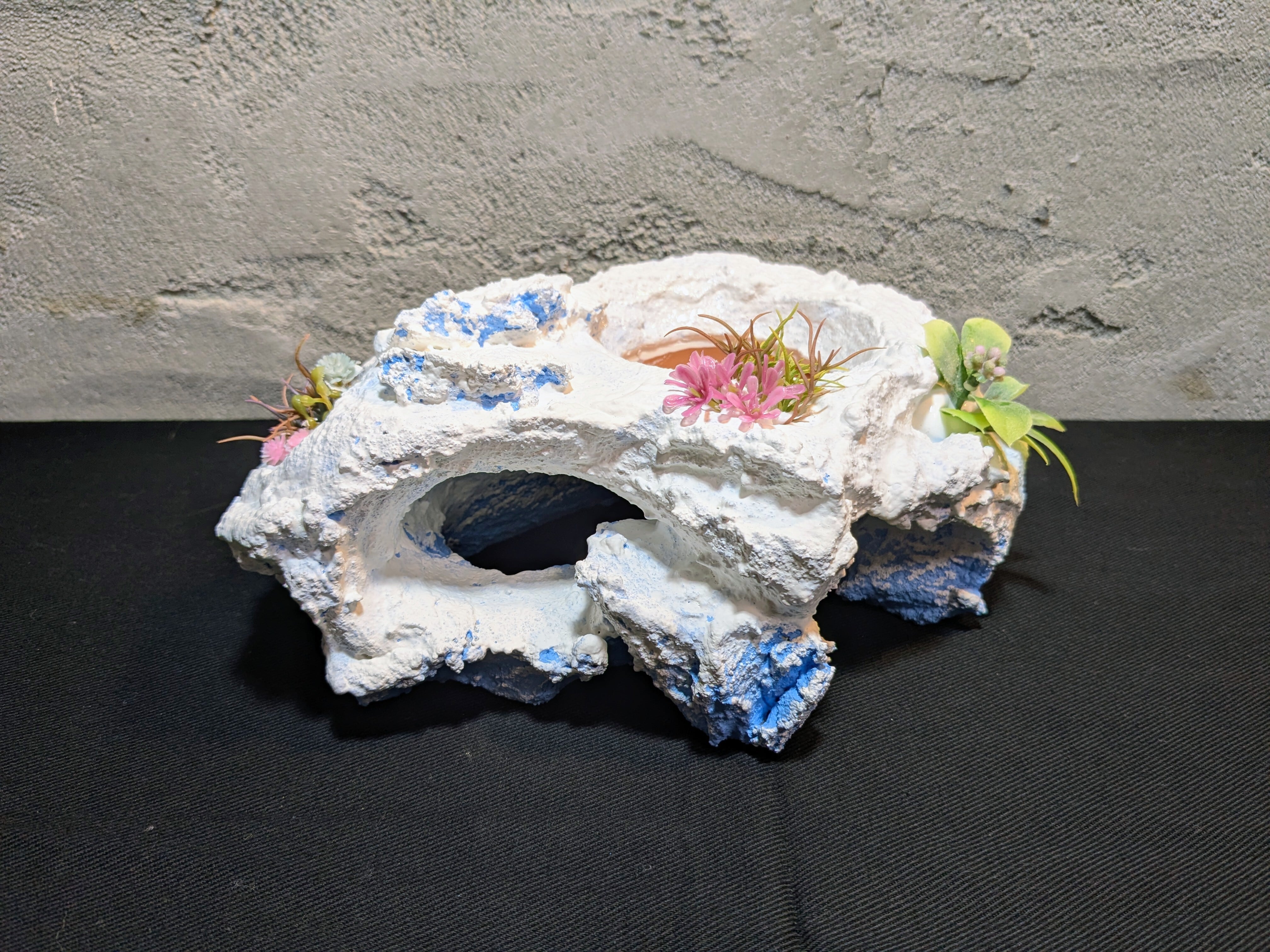 爬虫類用造形アート ともえ屋