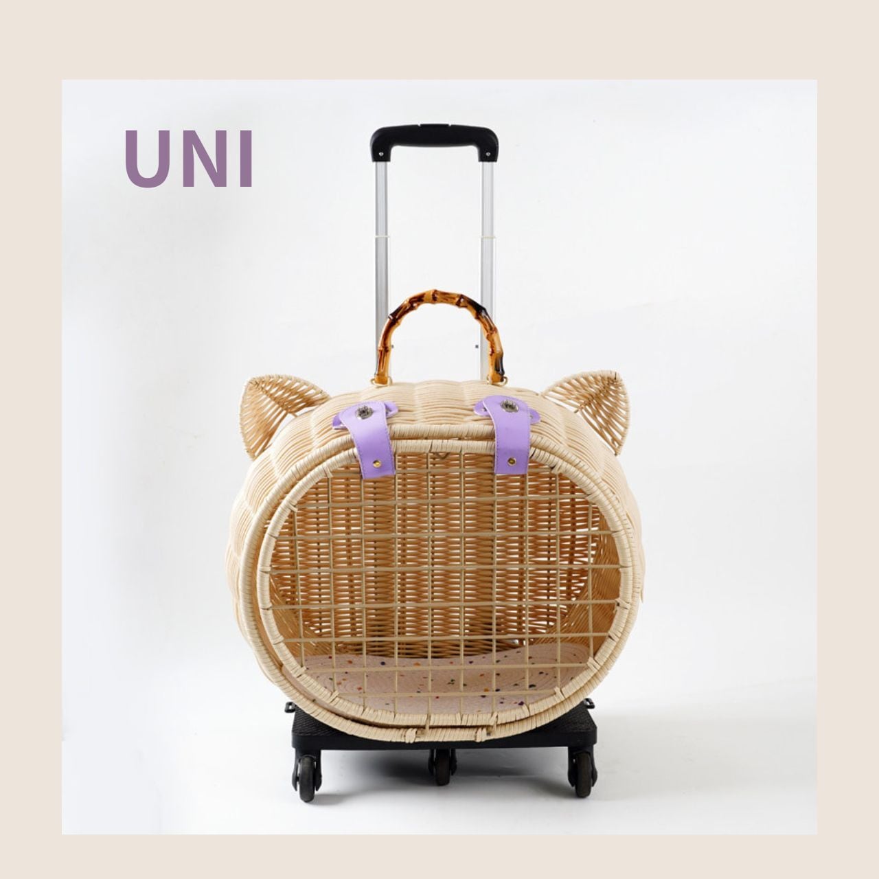 ねこざ 商品情報｜猫壱公式オンラインストア