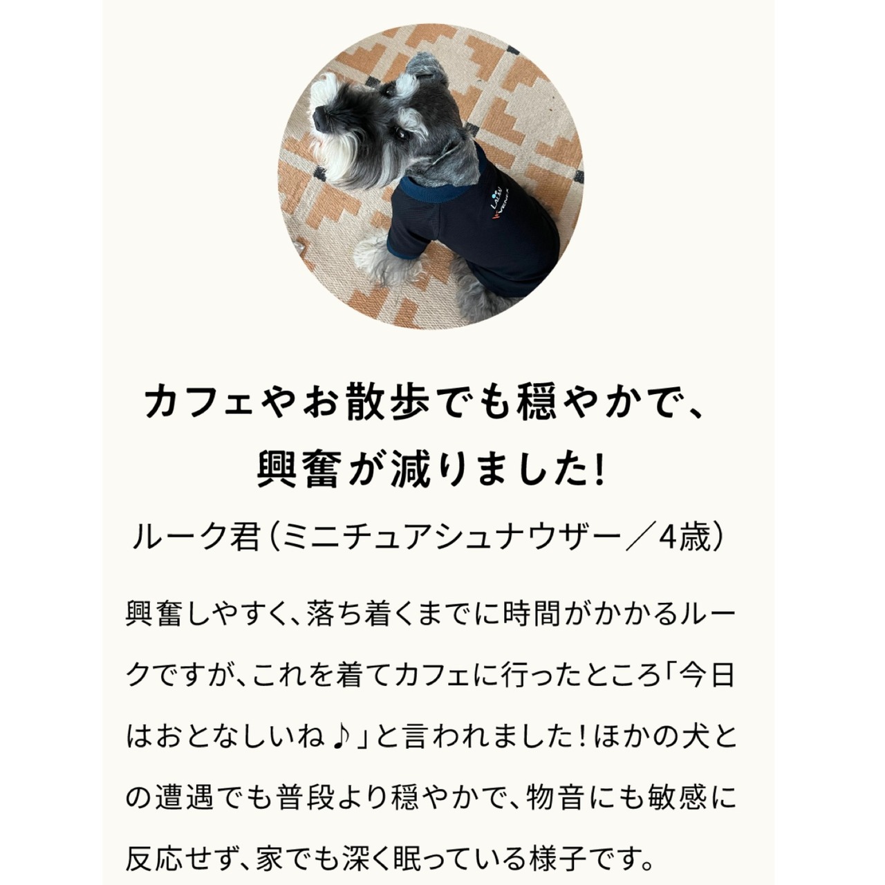 リラックスDOGウエア「YURUMI with VENEX」 M | LAUW（ラウー）