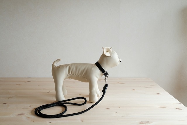 小型犬用のシンプルな首輪とリードのセット　黒