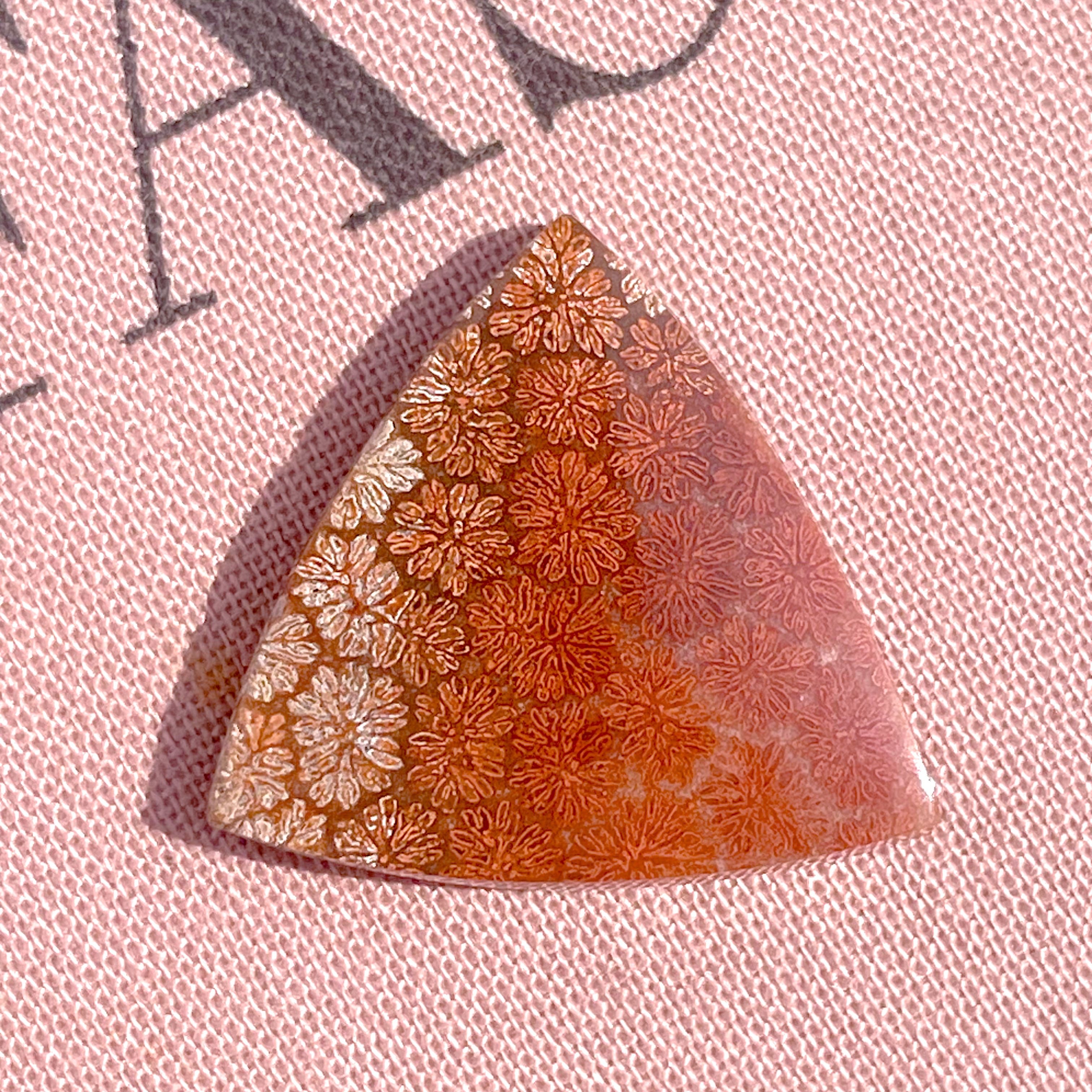 Fossile Coral Triangle ✧ フォッシルコーラル (化石珊瑚) | FLUXY