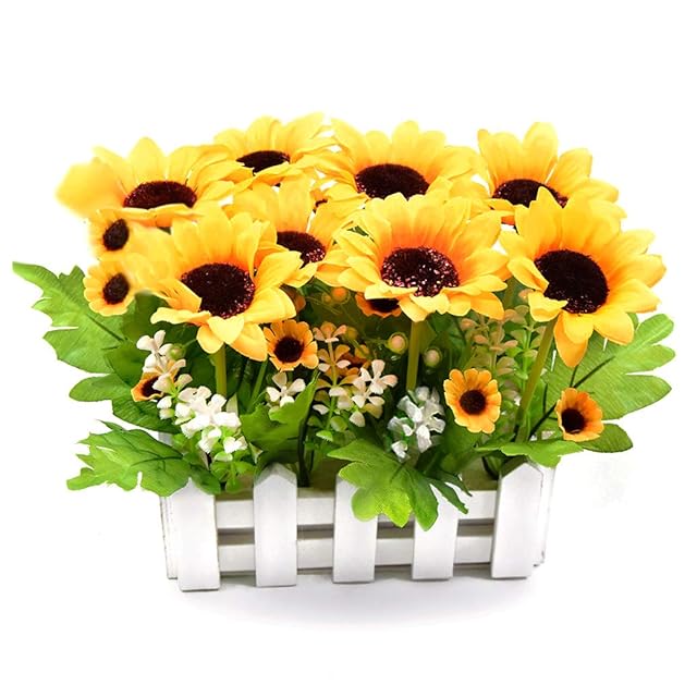 菓子胡桃（カシクルミ）盆栽 SG001 | Pay ID