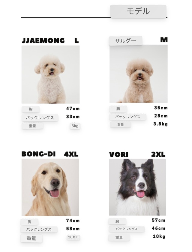 POPボタンシャツ - (WHITE)