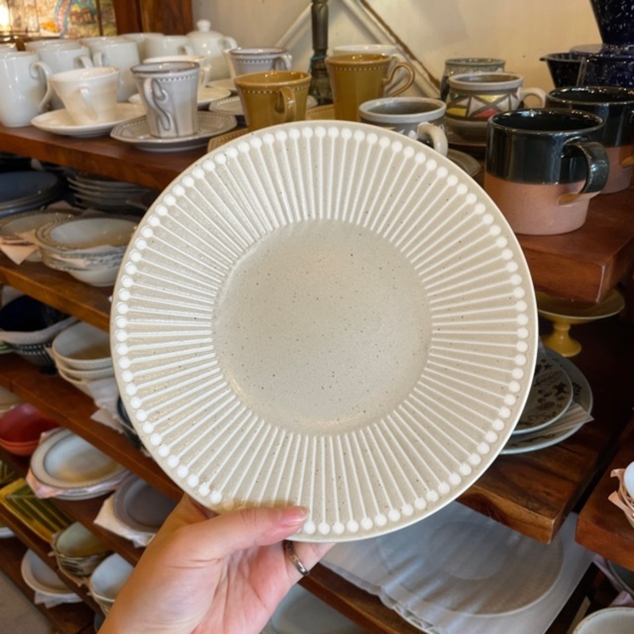 Albee 220plate 3colors / 美濃焼 日本製 アルビー 220プレート 全3色 陶磁器 食卓 日常使い キッチン雑貨 シンプル ナチュラル かわいい 皿 平皿 ギフト プレゼント