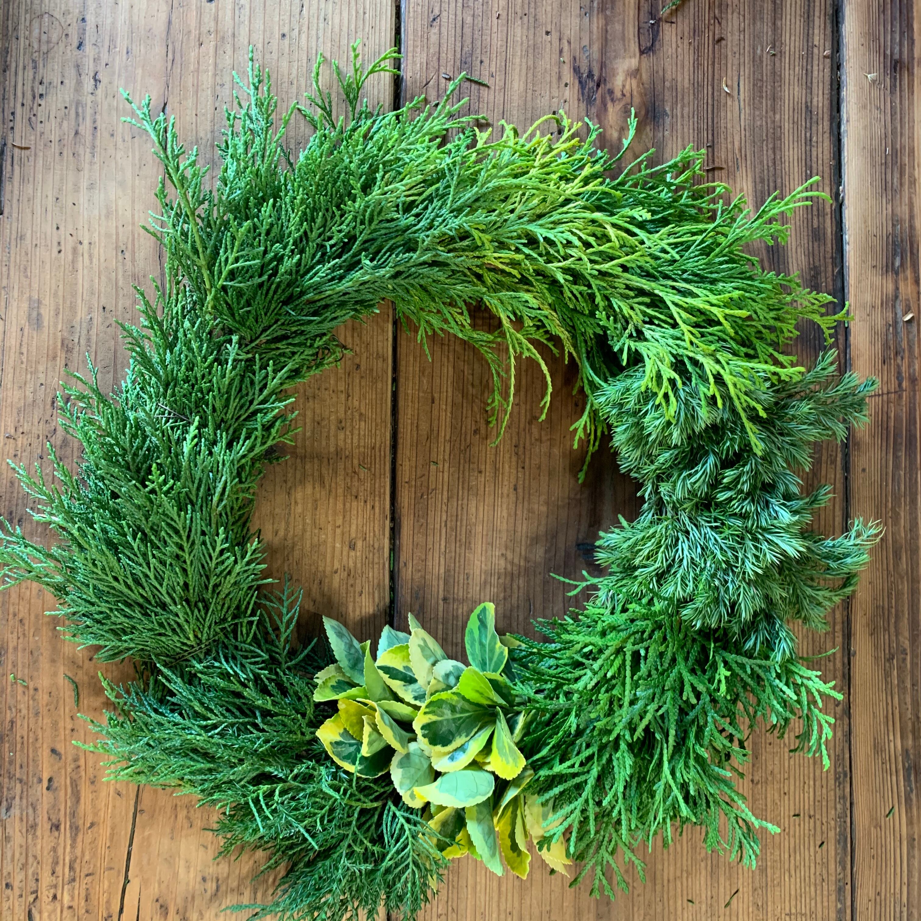 もりもりコニファーリースゴールドL | 京都 おむろ