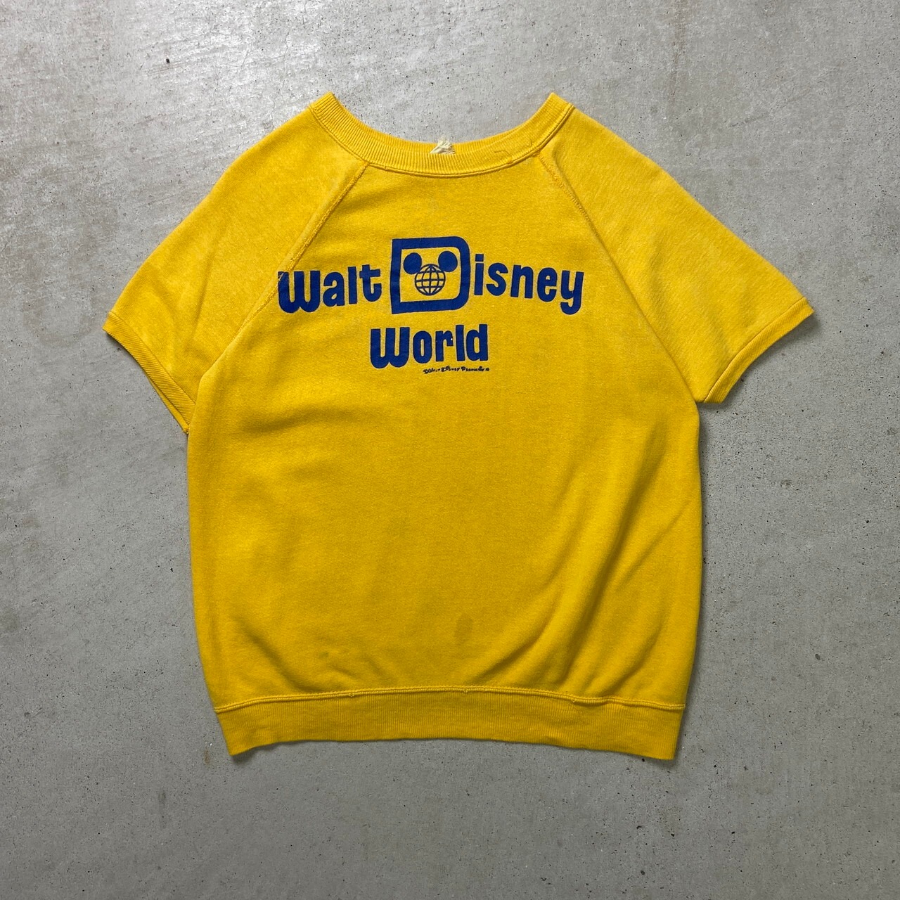 70年代 Walt Disney World ウォルトディズニーワールド プリント 