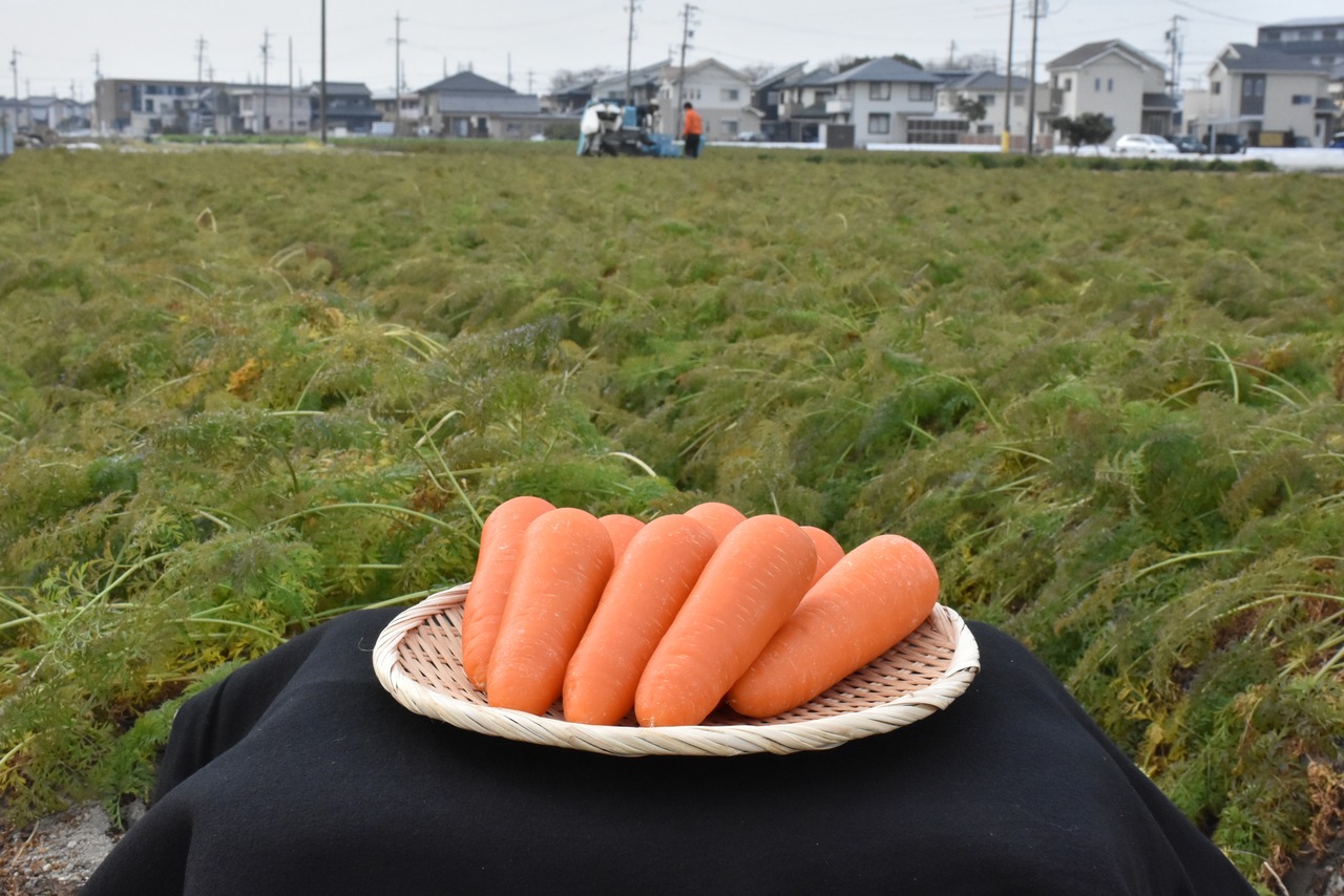 JAあいち中央碧南人参部会｢加工用へきなん美人10kg｣