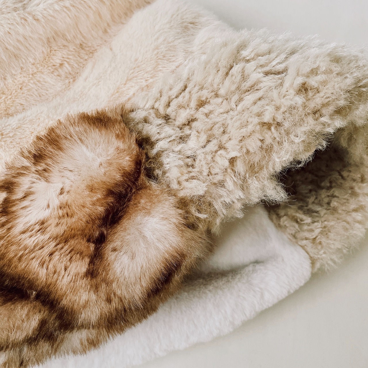 ポフミ / LATTE | ORIENT MILLINERY