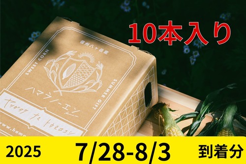 ２０２５【通常予約／１０本】八ヶ岳生とうもろこし／ギフトボックス入り／7月28日〜8月3日到着分