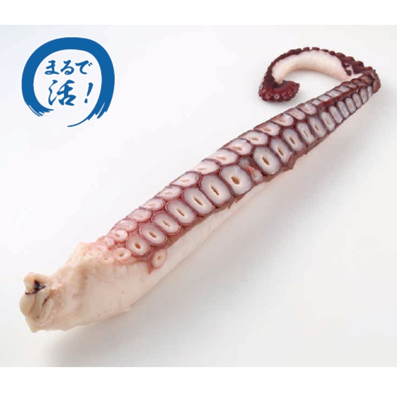 北海道産 刺身用たこ足 600~1200g/1本