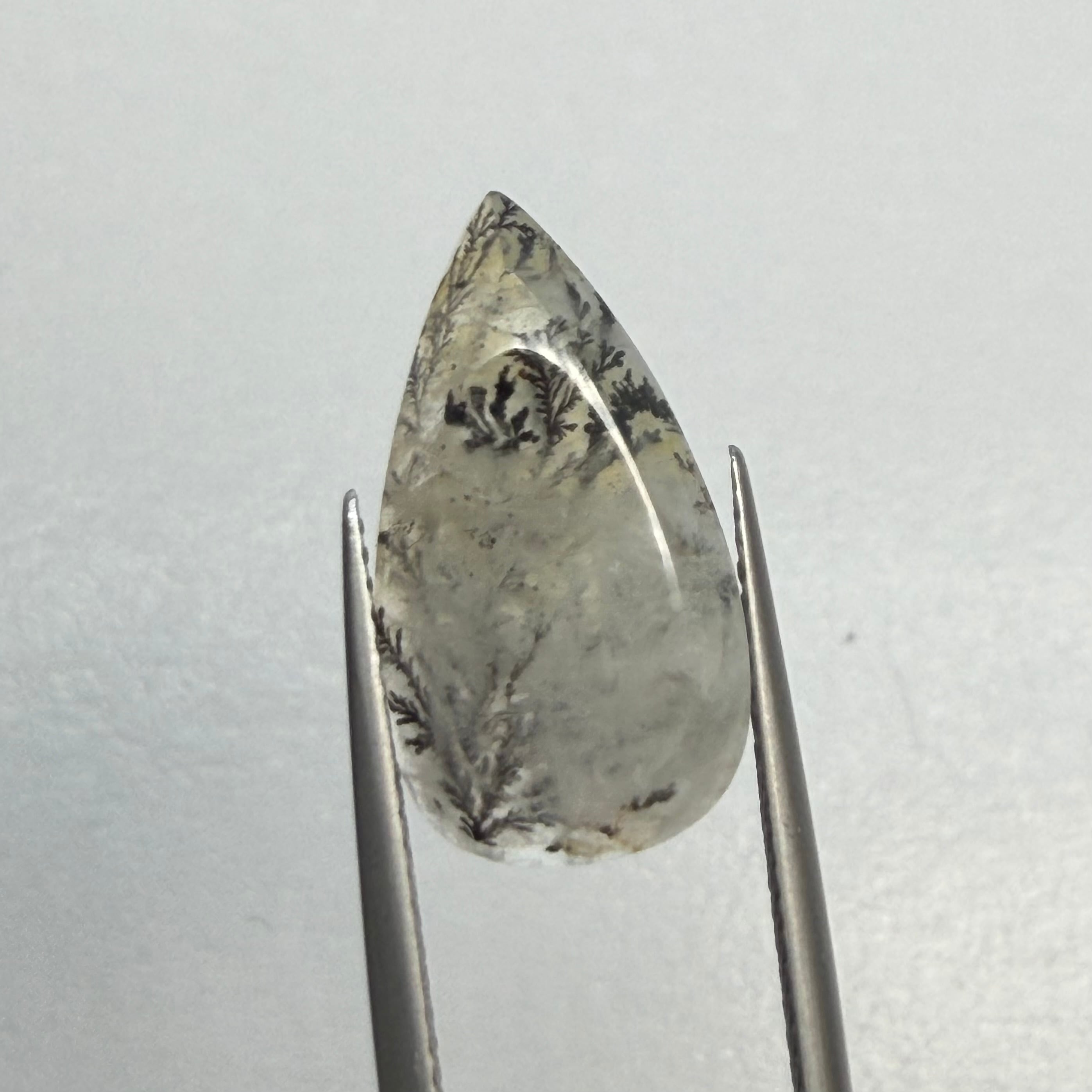 冬景色　デンドリティッククオーツ