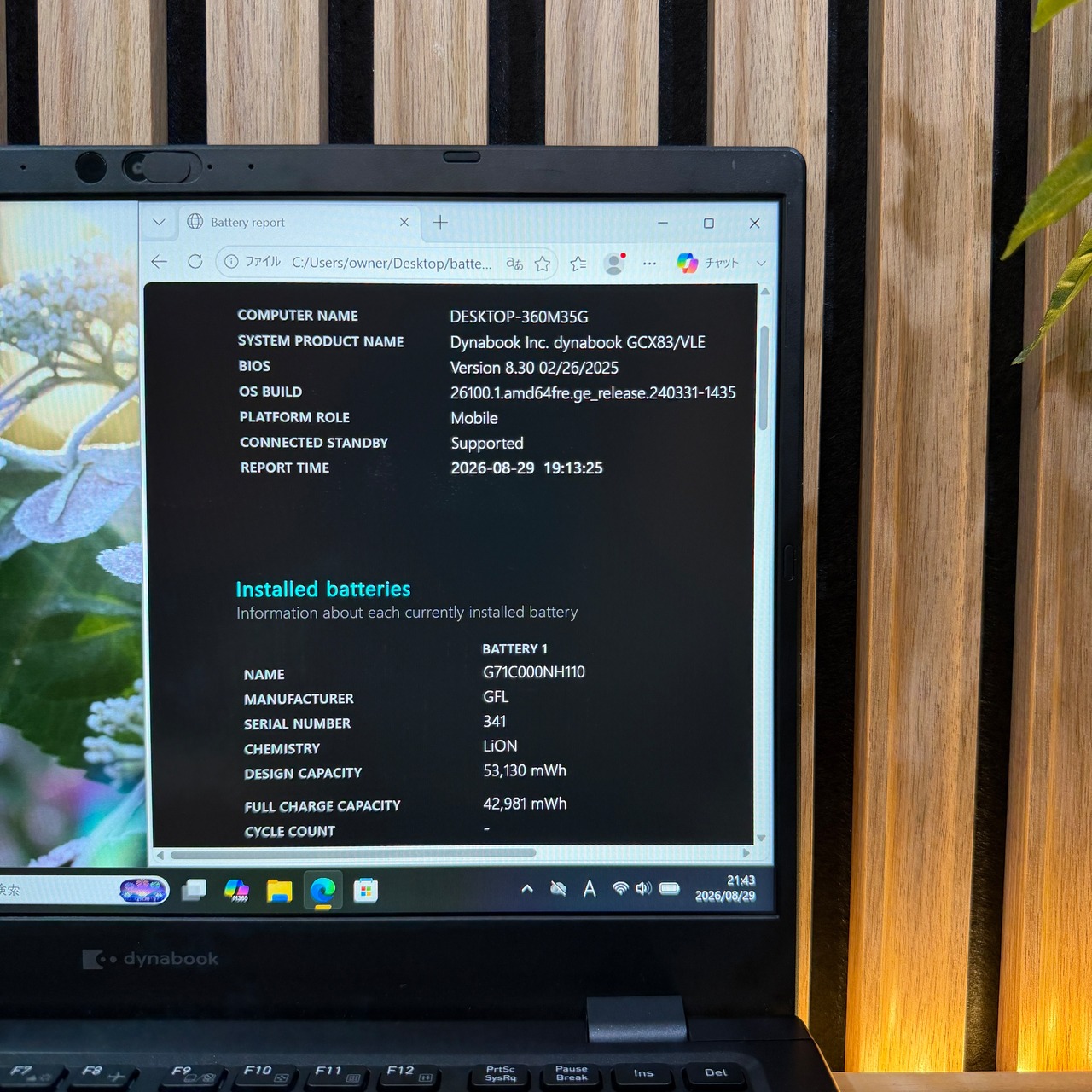 \ 公式ショップ限定価格❣️/ ☘最新2023年モデル‼️dynabook GCX83/VLE☘第12世代 i5☘️メモリ8GB☘️SSD256GB☘️ノートパソコン☘️安心サポート＆3ヶ月保証付き