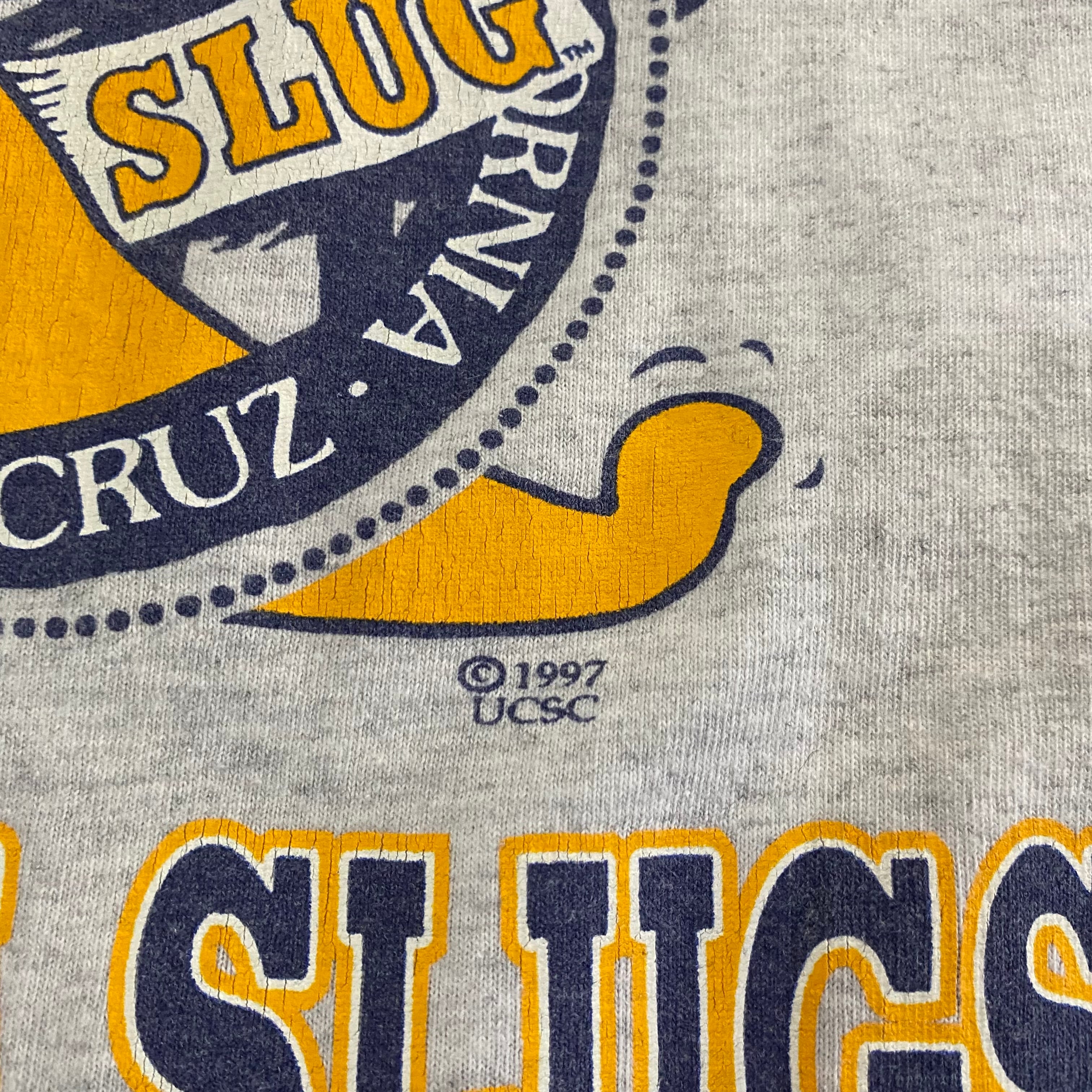 UCSC SANTA CRUZ Tee Murenaタグ USA製サイズXL-希少品黒のレース【4 