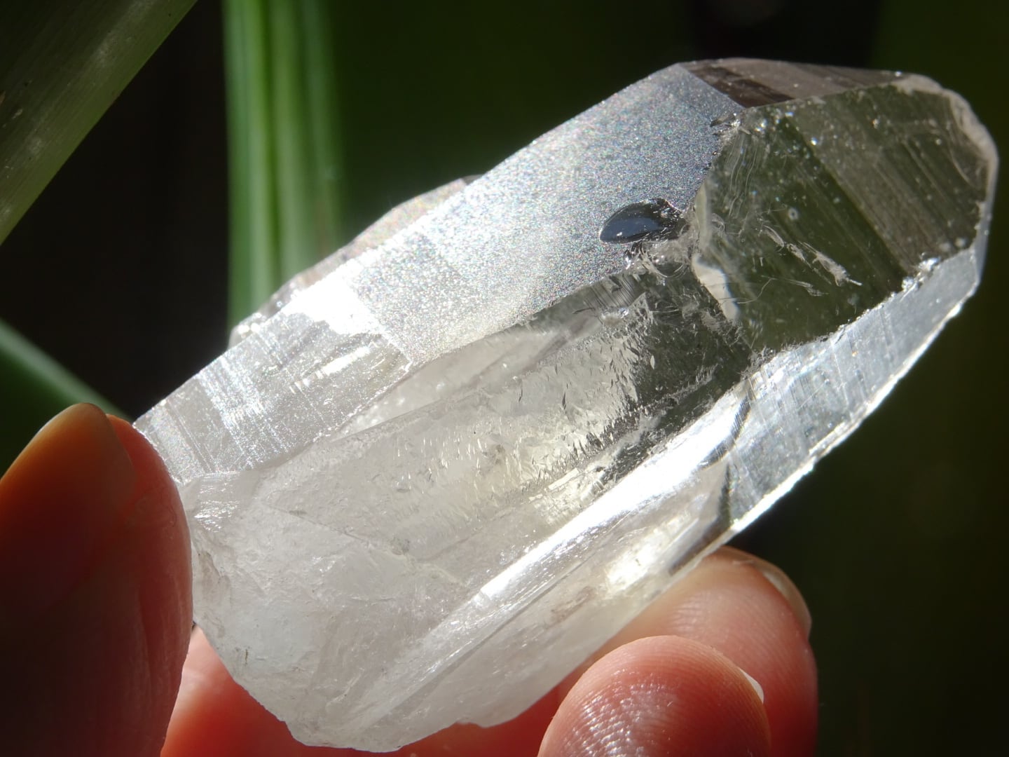 ラオスクォーツ」 ファミリークラスター、レコードキーパー＆セルフ