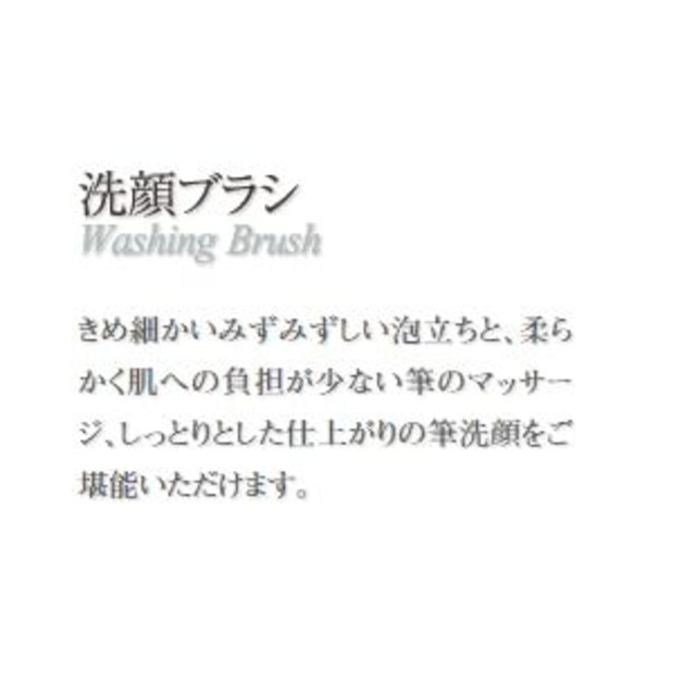 竹宝堂 熊野筆 洗顔ブラシ FA-5 (黒)