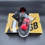 SB PAUL RODRIGUEZ 2 FUJI ROD 318359-061