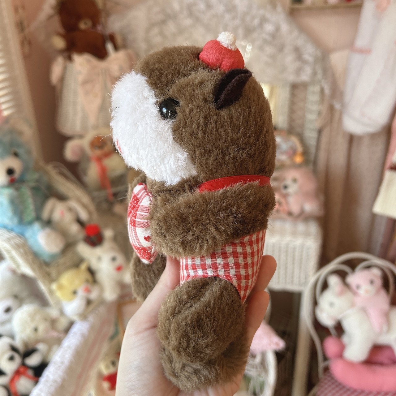 rakko 2setの画像08