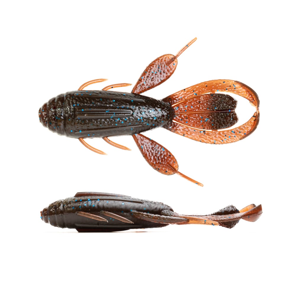 トゥルースジャパン　トランプ　711 TRUTH JAPAN Trump711（トゥルース ジャパン トランプ711） | アース