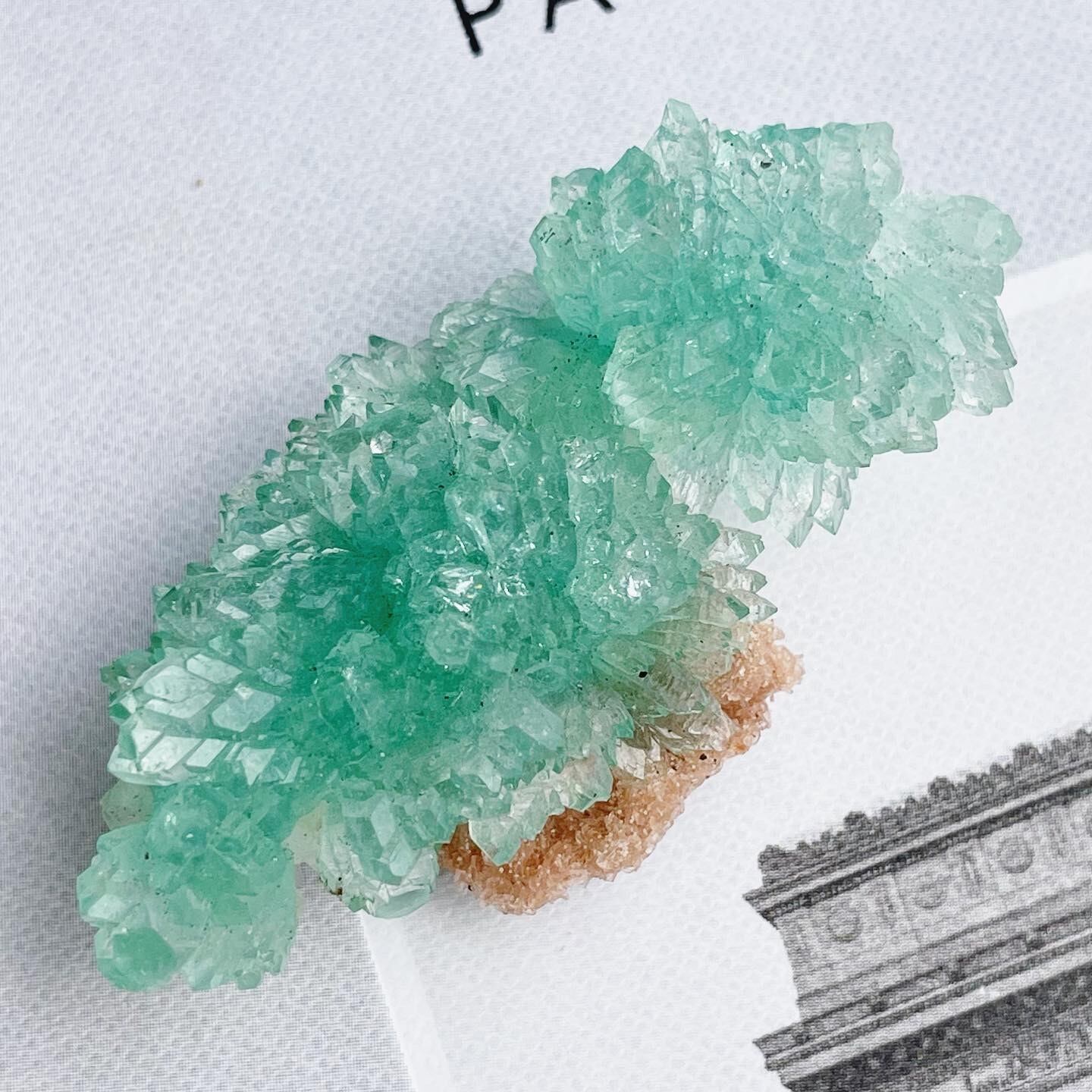 Flower Green Apophyllite 5