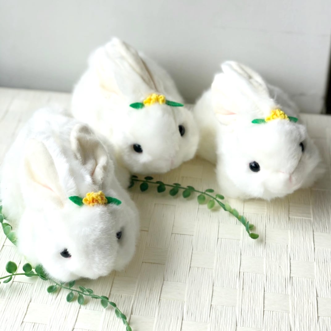 うさぎぬいぐるみ | 鳥取砂丘のお土産ショップ