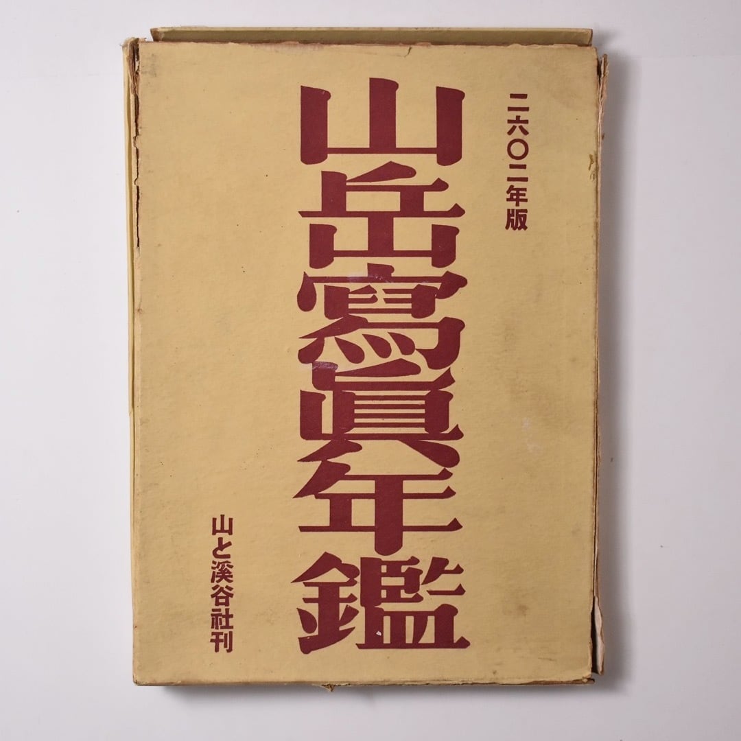 アムネジア 太田螢一作品集 | Pay ID