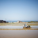 能登島のふるさと米（5kg）