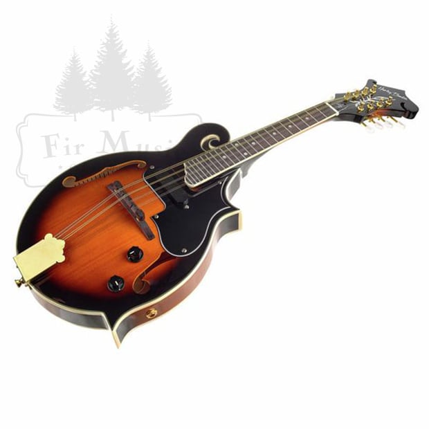 Fタイプ マンドリン PU付き ヨーロッパ製 Mandolin - Made in Europe