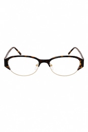Amber Tortoise
