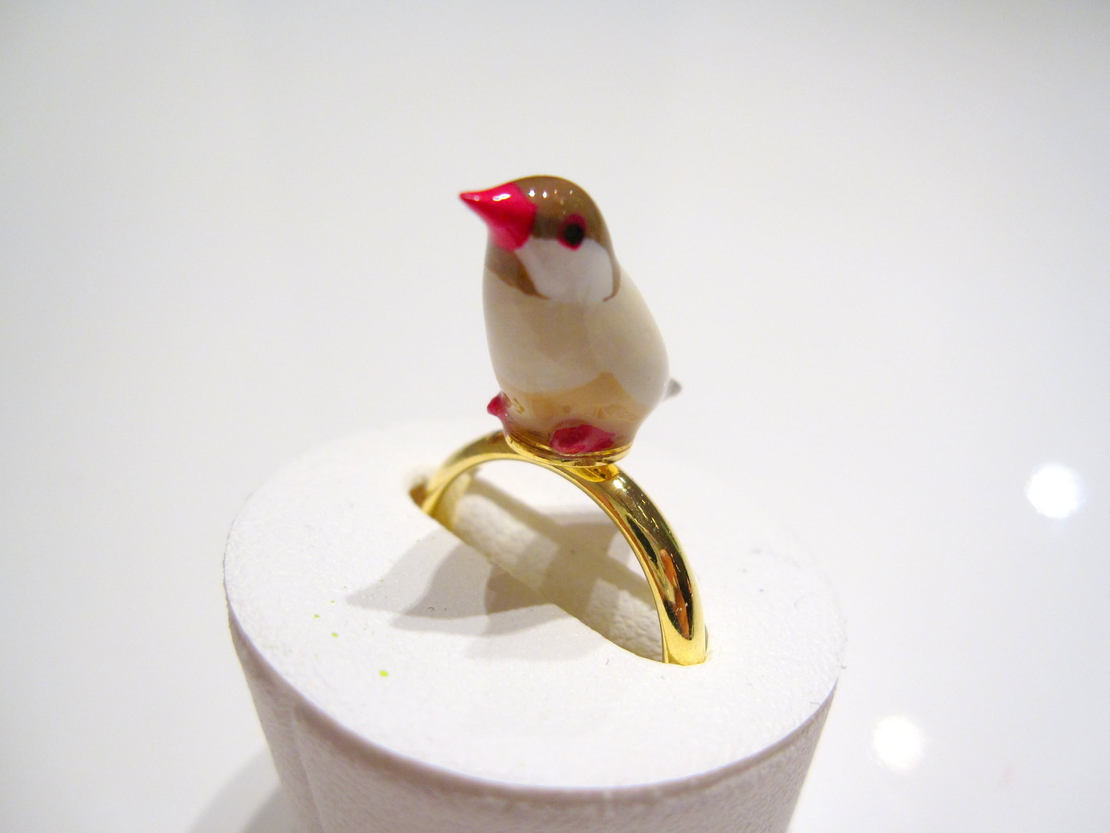 シナモン文鳥の指輪 10号フリー