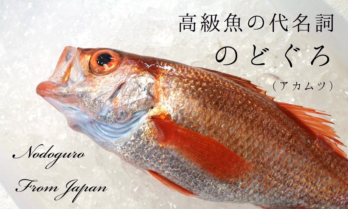 生 のどぐろ 喉黒 赤むつ 特大サイズ 豊洲直送 特大約700 800g 日本海産 鳥取 山口 島根他 アカムツ ギフト 鮮魚 刺身 ノドグロ 生 のどぐろ700 800g 冷蔵 Okawari 豊洲直送の高級海産物をお届け