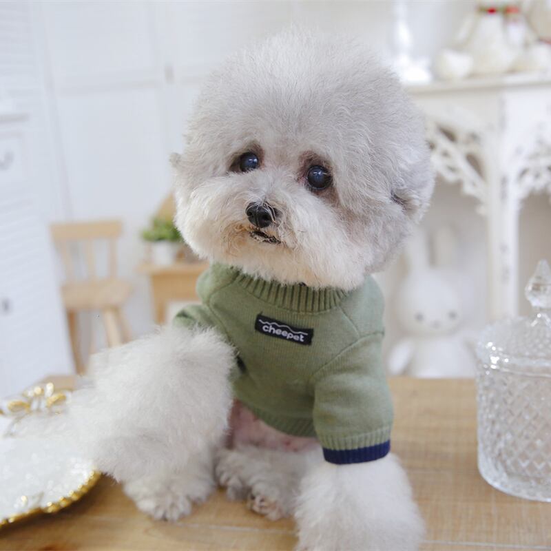 英字柄裏毛ニットの犬の服 英字柄裏毛ニットの犬の服 2024新作】選べる犬種74種！