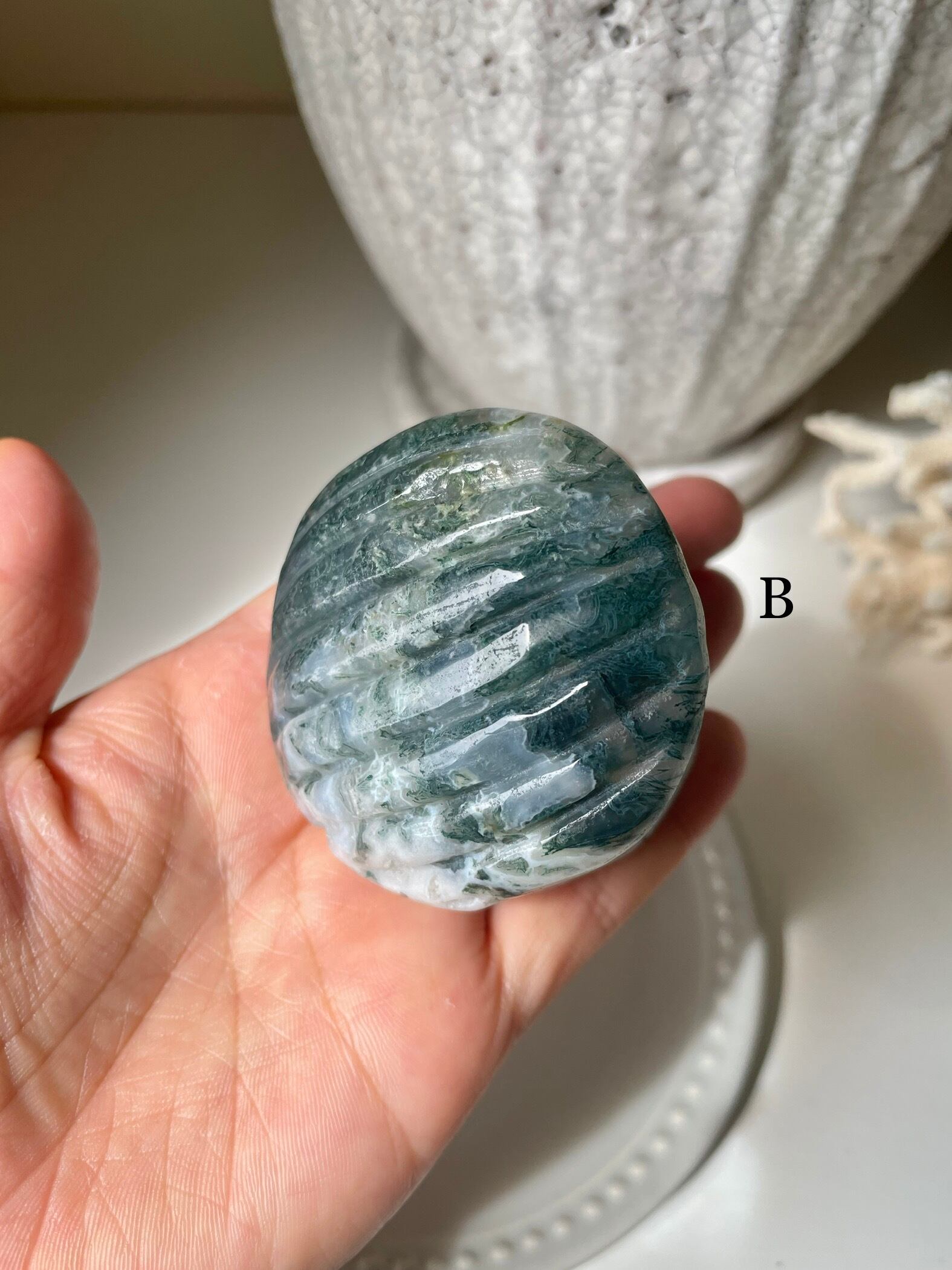 Moss Agate Shell / モスアゲート　貝