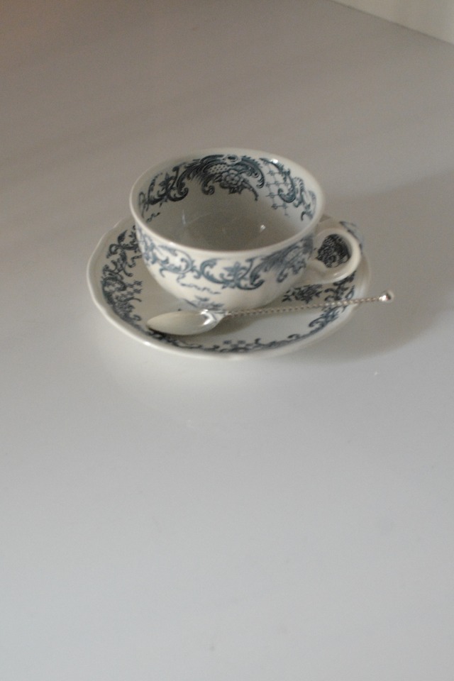 vintage cup & saucer Villeroy & Boch Ⅱ