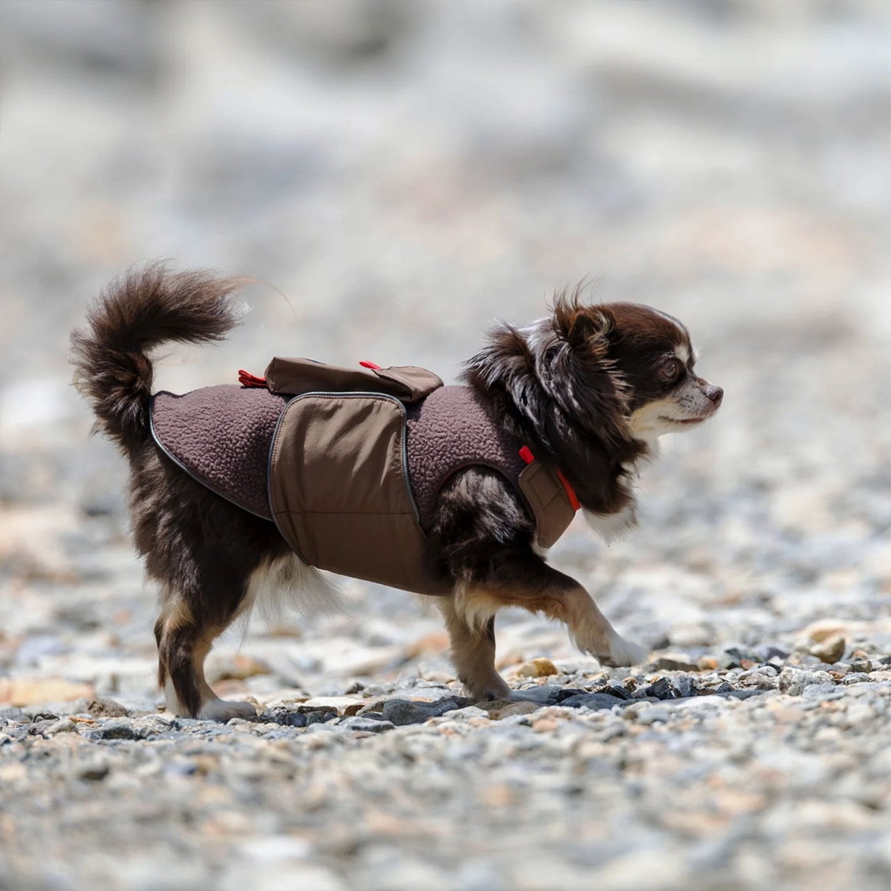 ALPHAICON [アルファアイコン] AIR LINER [25AL] エアライナー・ドッグ