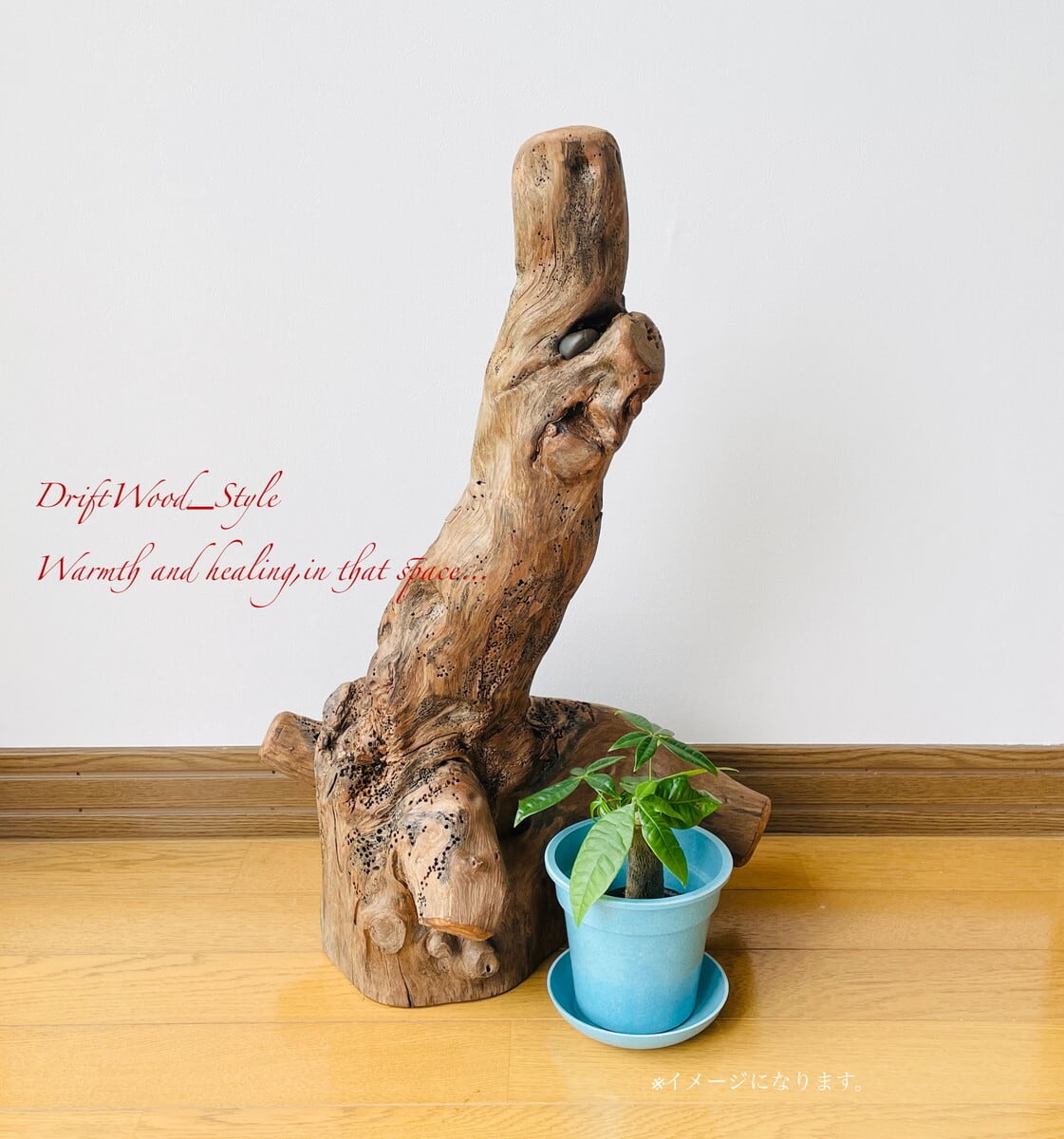 流木インテリア 芸術的な造形の流木スタンド 植物や小物を置いて飾れる