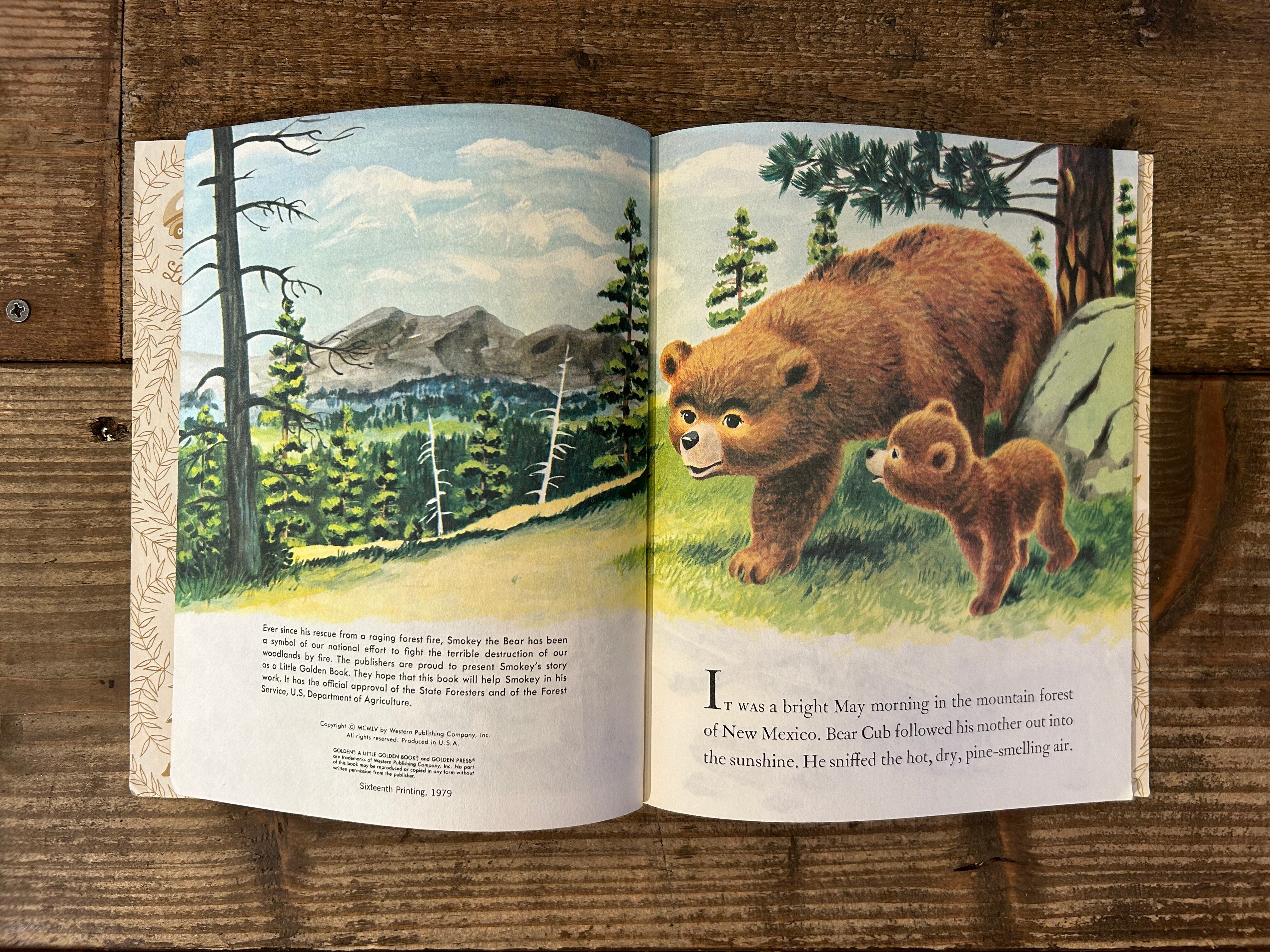 ヴィンテージ品‼️70s Smokey Bear/スモーキーベア貯金箱 【公式通販】