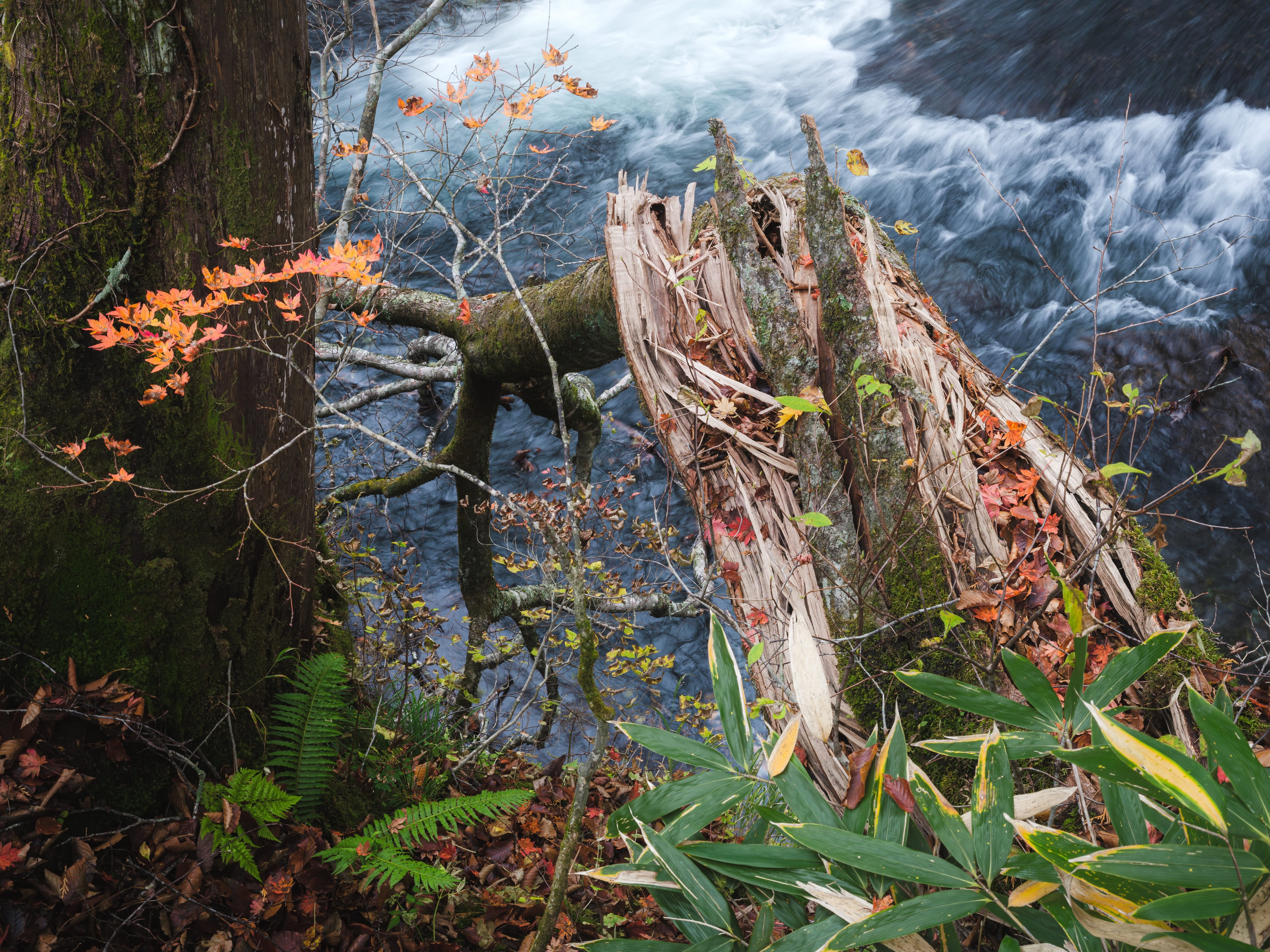 【Kyubi展示品】・自弔 木工パネル